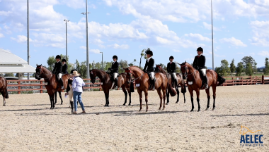 2026 New England and North West Show Horse Association All States Spectacular thumbnail